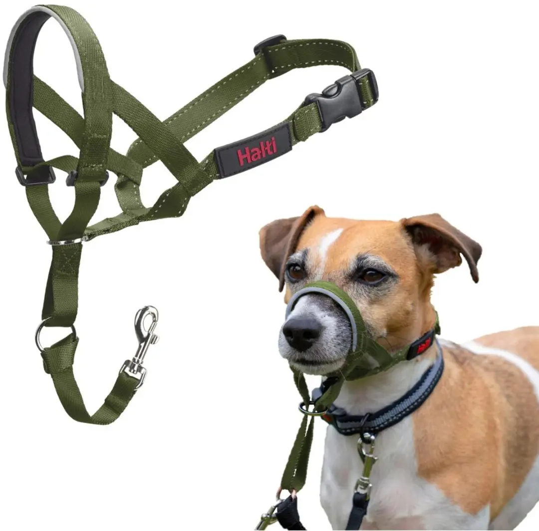 Halti Headcollar