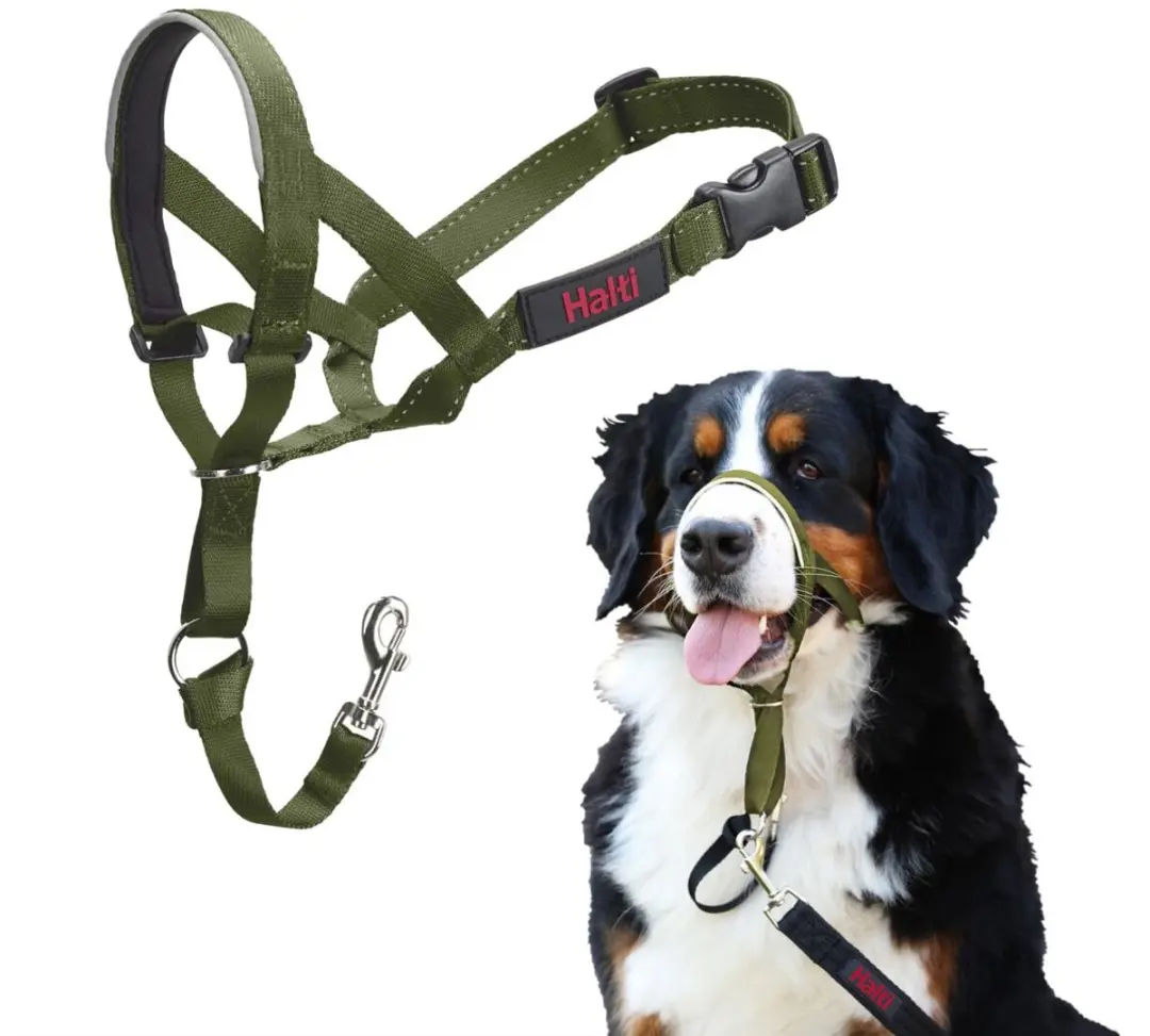 Halti Headcollar
