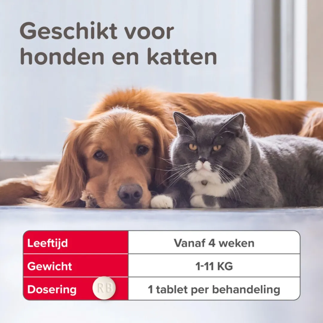 Beaphar Vlo Kill Tabletten Hond/Kat 1-11 kg - 24 Stuks