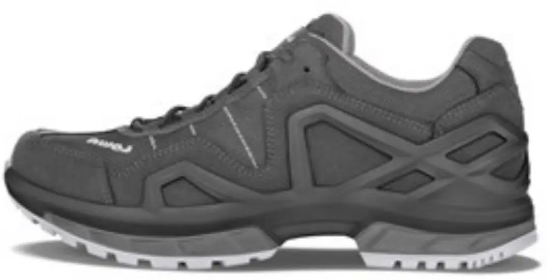 Lowa Gorgon GTX LM310578-0927 48 2/3