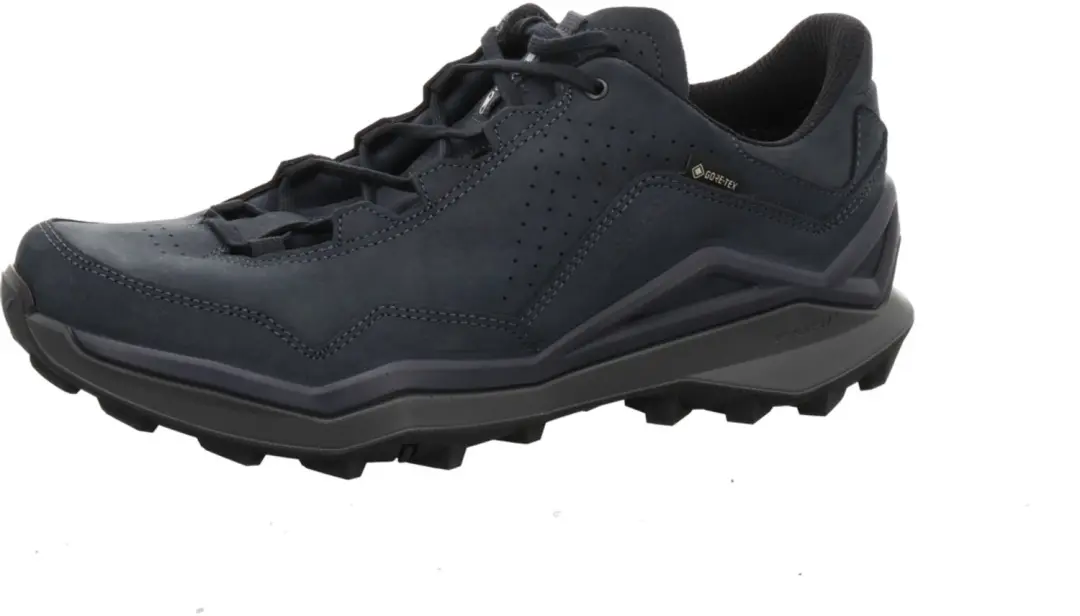 Lowa Maddox Pro Lt GTX Wandelschoenen