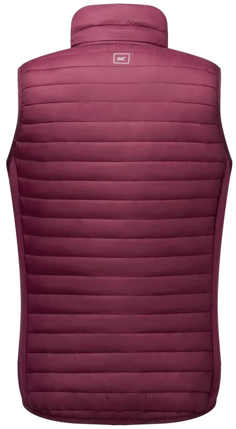 Regatta Anderson Hybride Damesjack - Fig - 42 - afbeelding 4 van 4