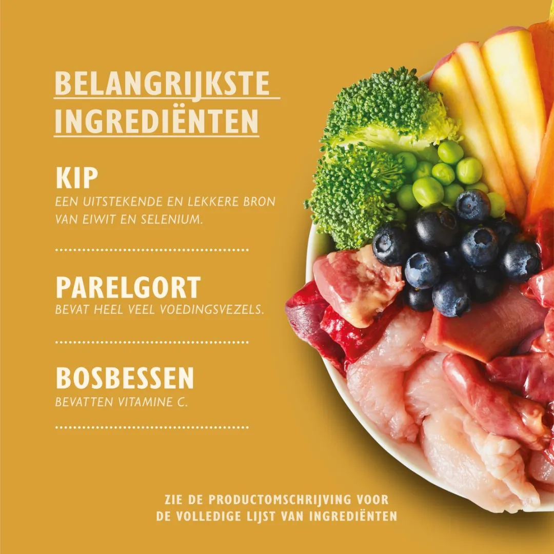 Lily's Kitchen Stoofpotje Kip & Kalkoen Hondenvoer - 6x400g