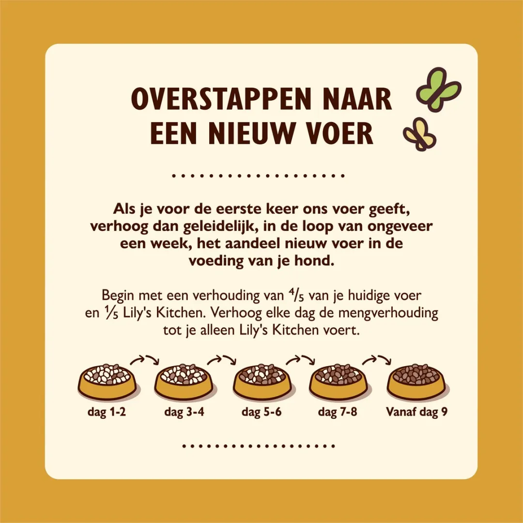 Lily's Kitchen Stoofpotje Kip & Kalkoen Hondenvoer - 6x400g