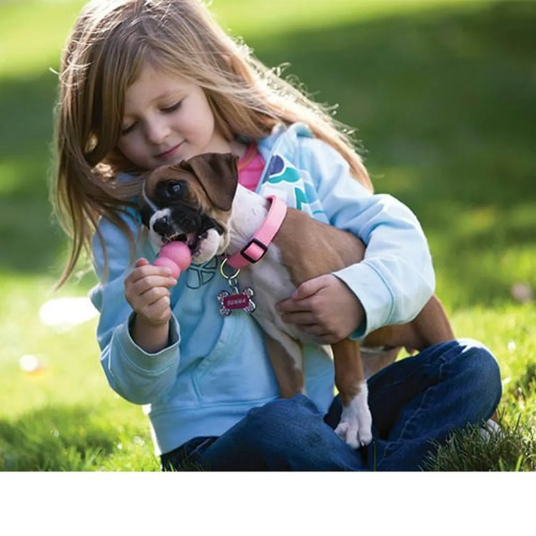 KONG Puppy Roze S