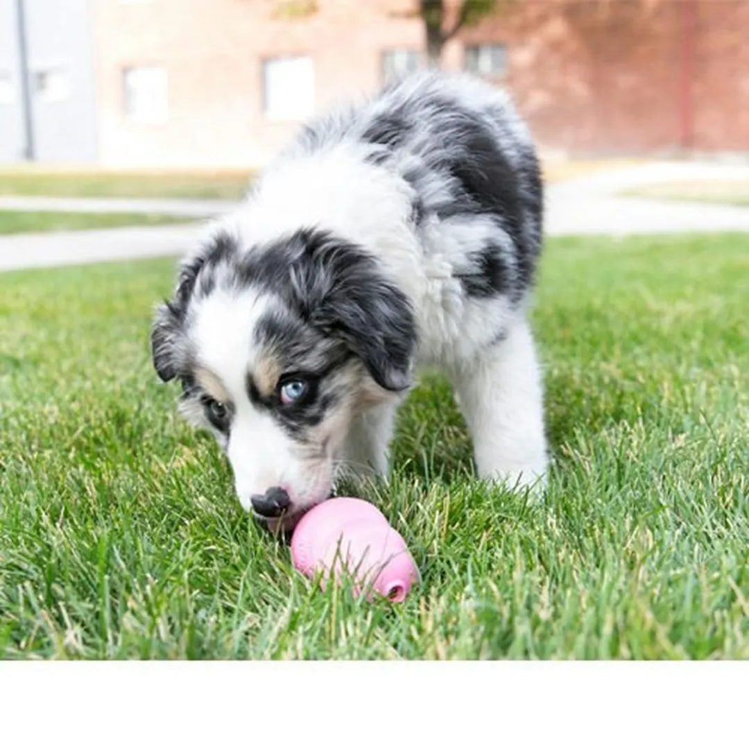KONG Puppy Roze S