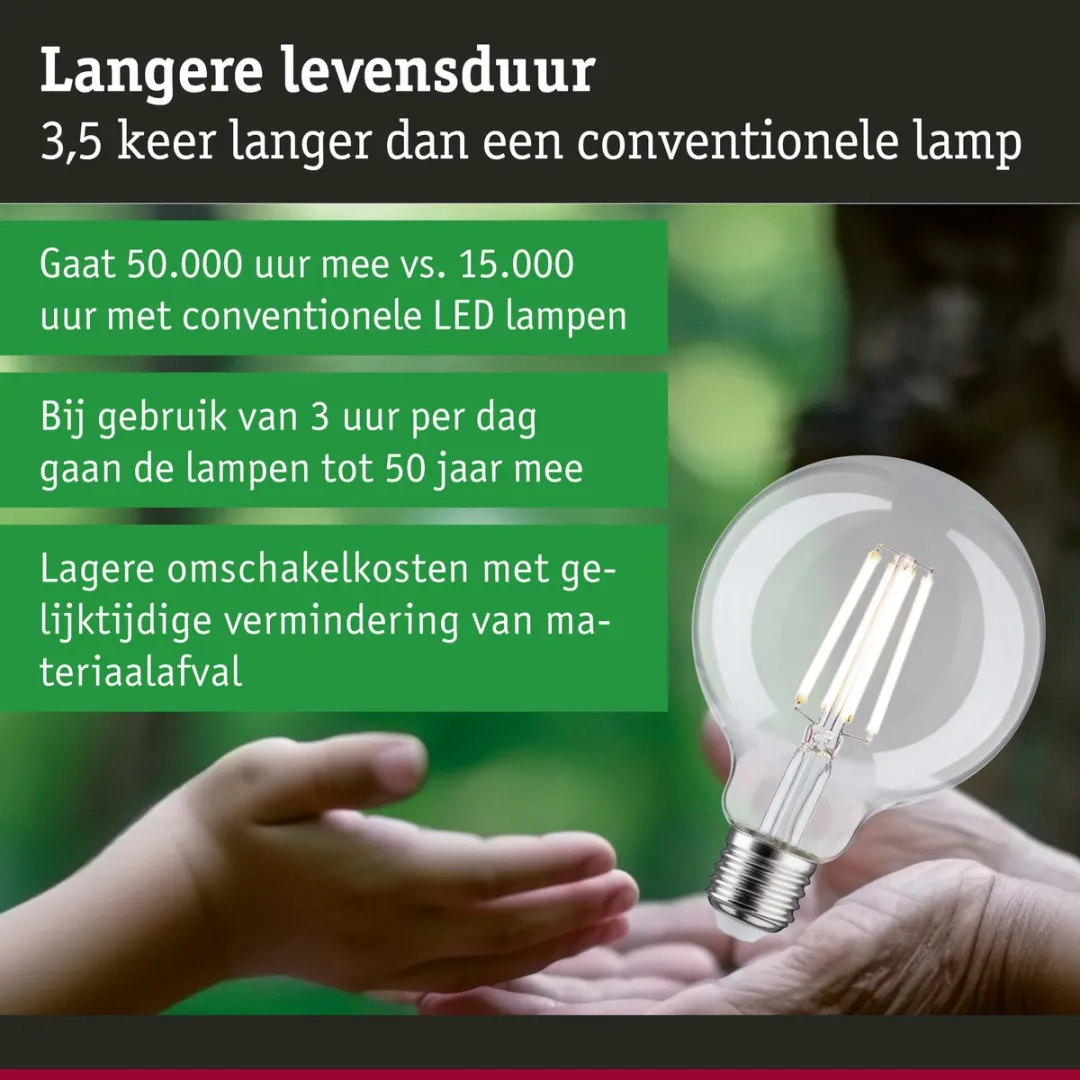 Paulmann Eco-Line LED Globe G95 E27 4W 4000K - 840lm Helder - afbeelding 6 van 6