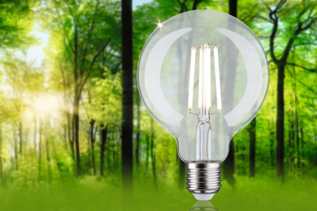 Paulmann Eco-Line LED Globe G95 E27 4W 4000K - 840lm Helder