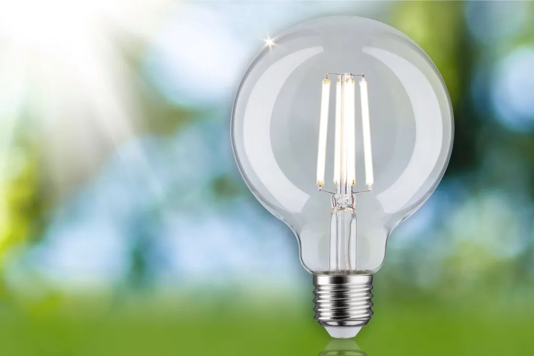 Paulmann Eco-Line LED Globe G95 E27 4W 4000K - 840lm Helder
