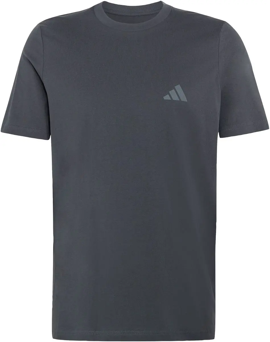 adidas Terrex Mountain Graphic T-Shirt - Grijs - afbeelding 6 van 6