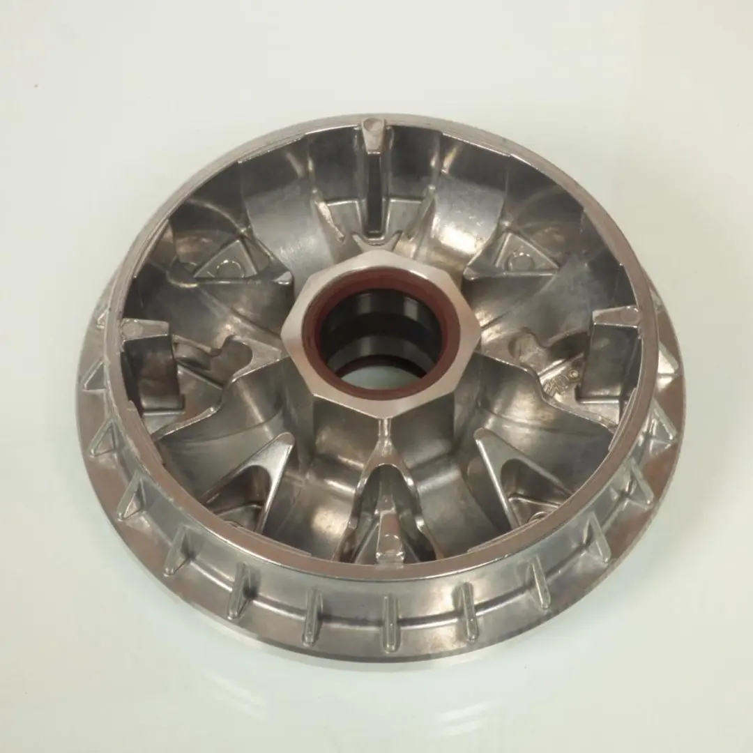 Variateur Polini voor Scooter Aprilia 500 Scarabeo 2001 tot 2020 Nieuw
