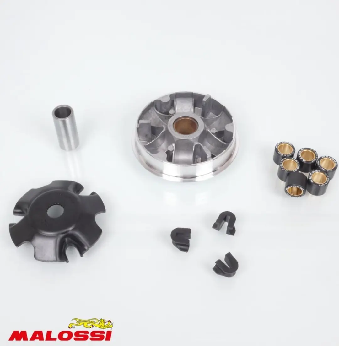 malossi variator voor italjet 125 torpedo scooter 1999-2002 5111154 / multivar n