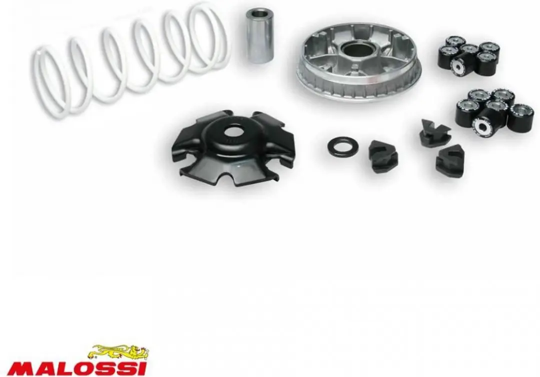 malossi variator voor kymco scooter 125 people 2000 5114404 / multivar 2000 nieu