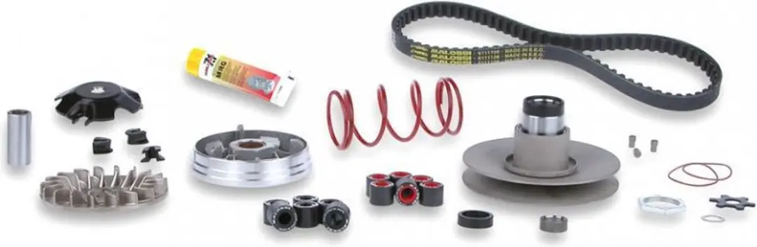 Variateur Malossi voor Scooter Aprilia 50 Sonic 6112812 / Over Range Nieuw
