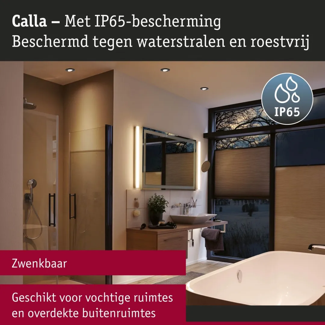 Paulmann LED-inbouwlamp Calla IP65 6W 500lm 4000K - Zwart mat