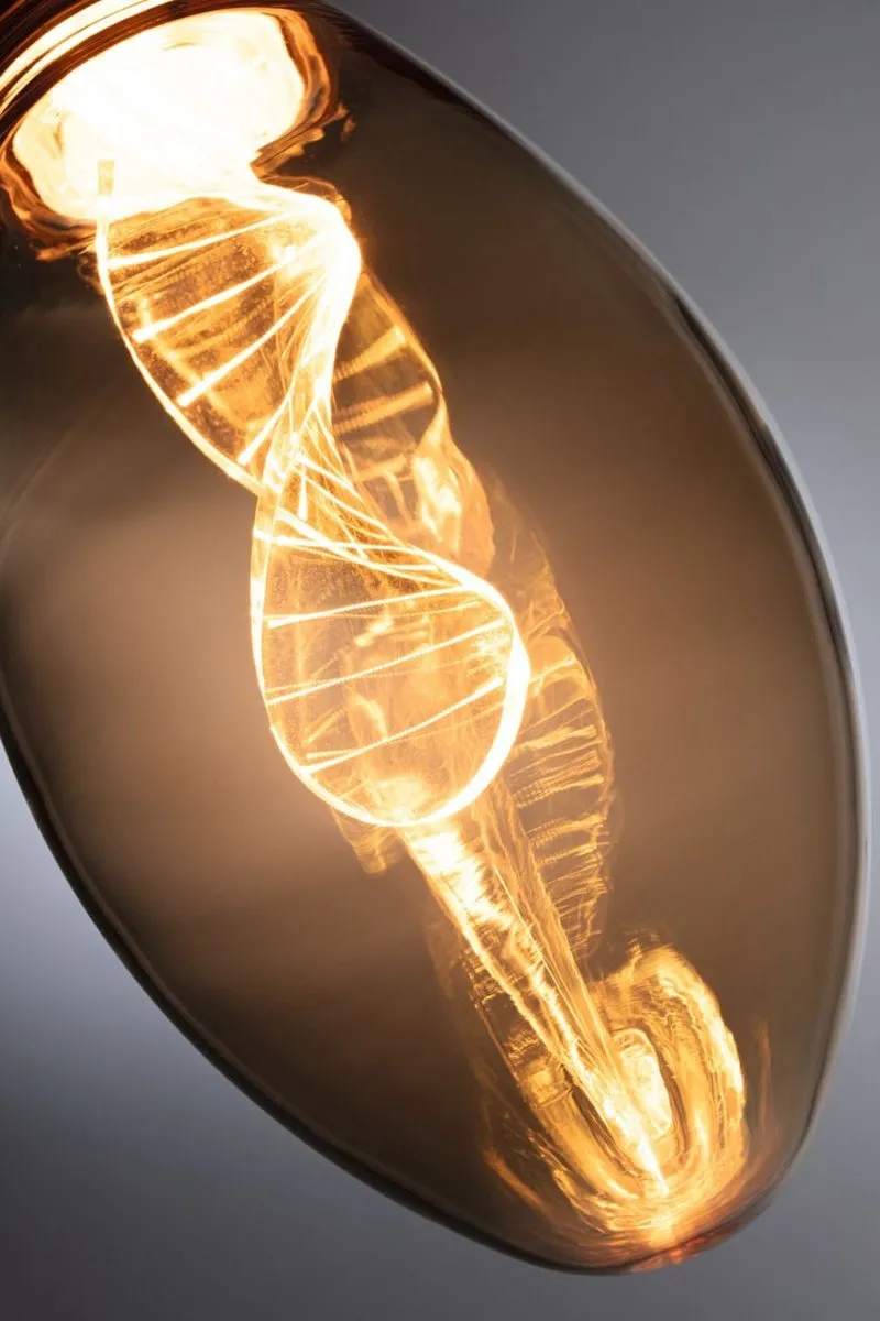 Paulmann Inner Glow Edition Helix E27 LED-lamp 3,5W 180lm - Goud - afbeelding 6 van 6