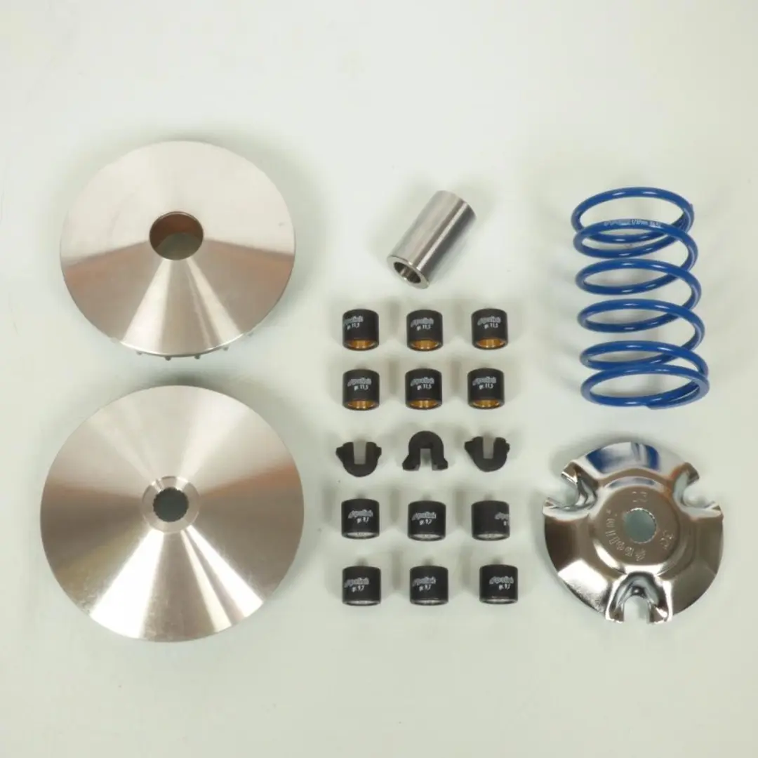 Variateur Polini voor Auto Piaggio Nieuw