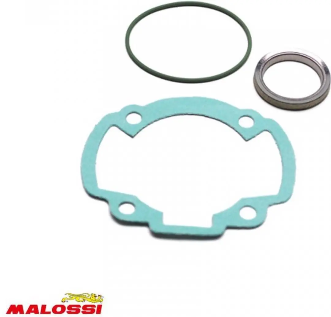 Malossi pakking voor Peugeot 50 Elyseo scooter 11 7394 Gloednieuw
