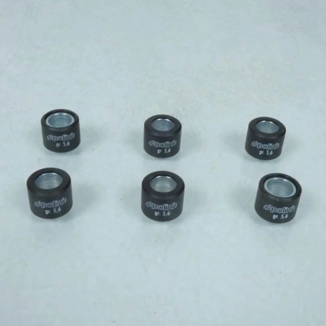 Variateurset compleet Polini voor motor Aprilia 50 Sonic 241.670.2 Nieuw