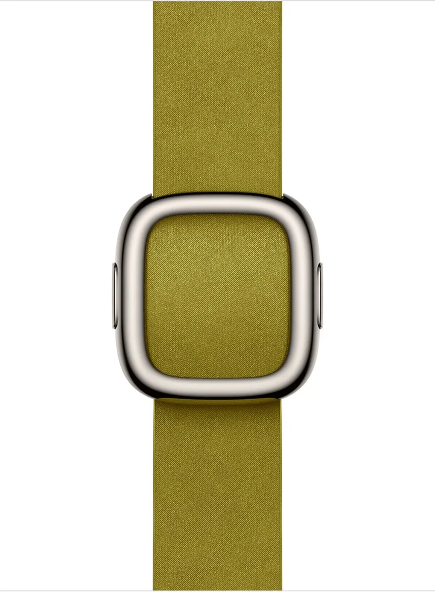 Apple Watch Modern Buckle 42mm