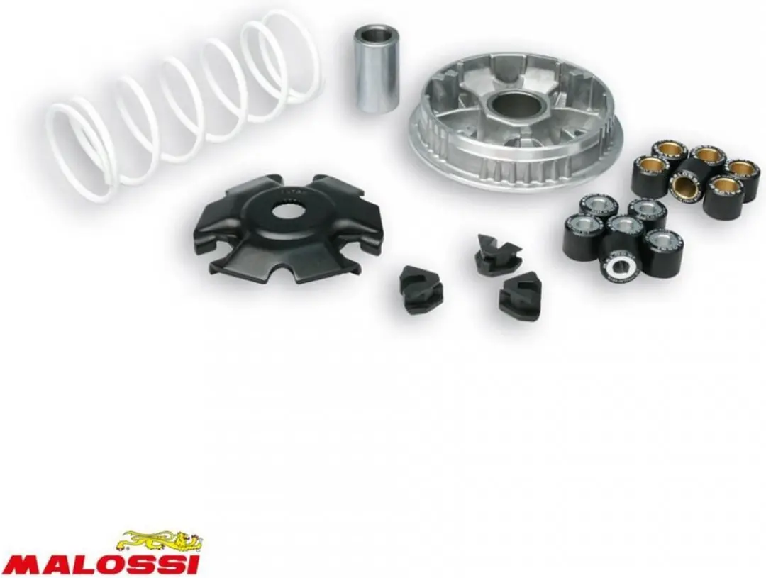 variateur malossi voor scooter piaggio 125 vespa s 2012 5115639 / multivar 2000