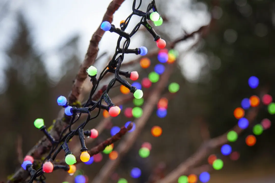 Star Trading Berry Mini Lichtketting - 300 LED - 6m - afbeelding 6 van 6