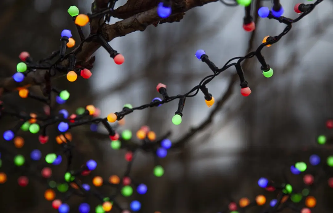Star Trading Berry Mini Lichtketting - 300 LED - 6m - afbeelding 3 van 6