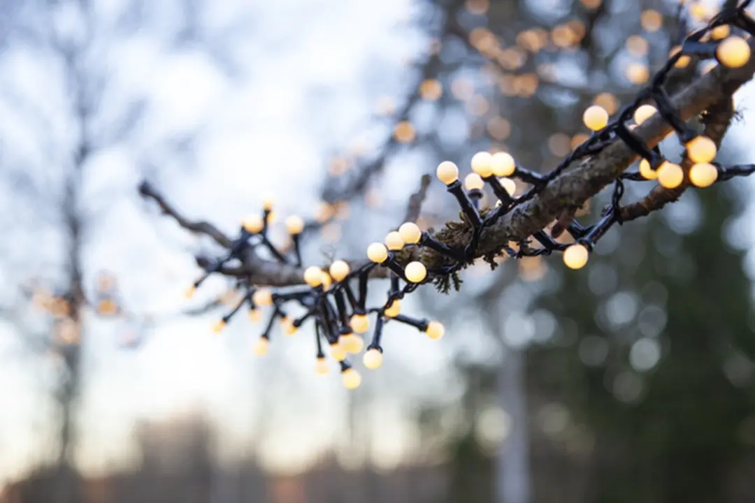 Star Trading Berry Mini LED Lichtketting 6m - 300 LED - Warm Wit - afbeelding 5 van 6