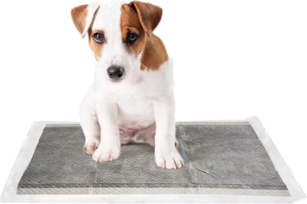 Duvo+ Puppy Pad Carbon 45x60cm - 30 stuks - afbeelding 2 van 6