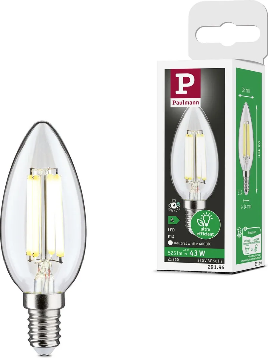 Paulmann Eco-Line LED Kaars E14 2,5W 525lm - Helder