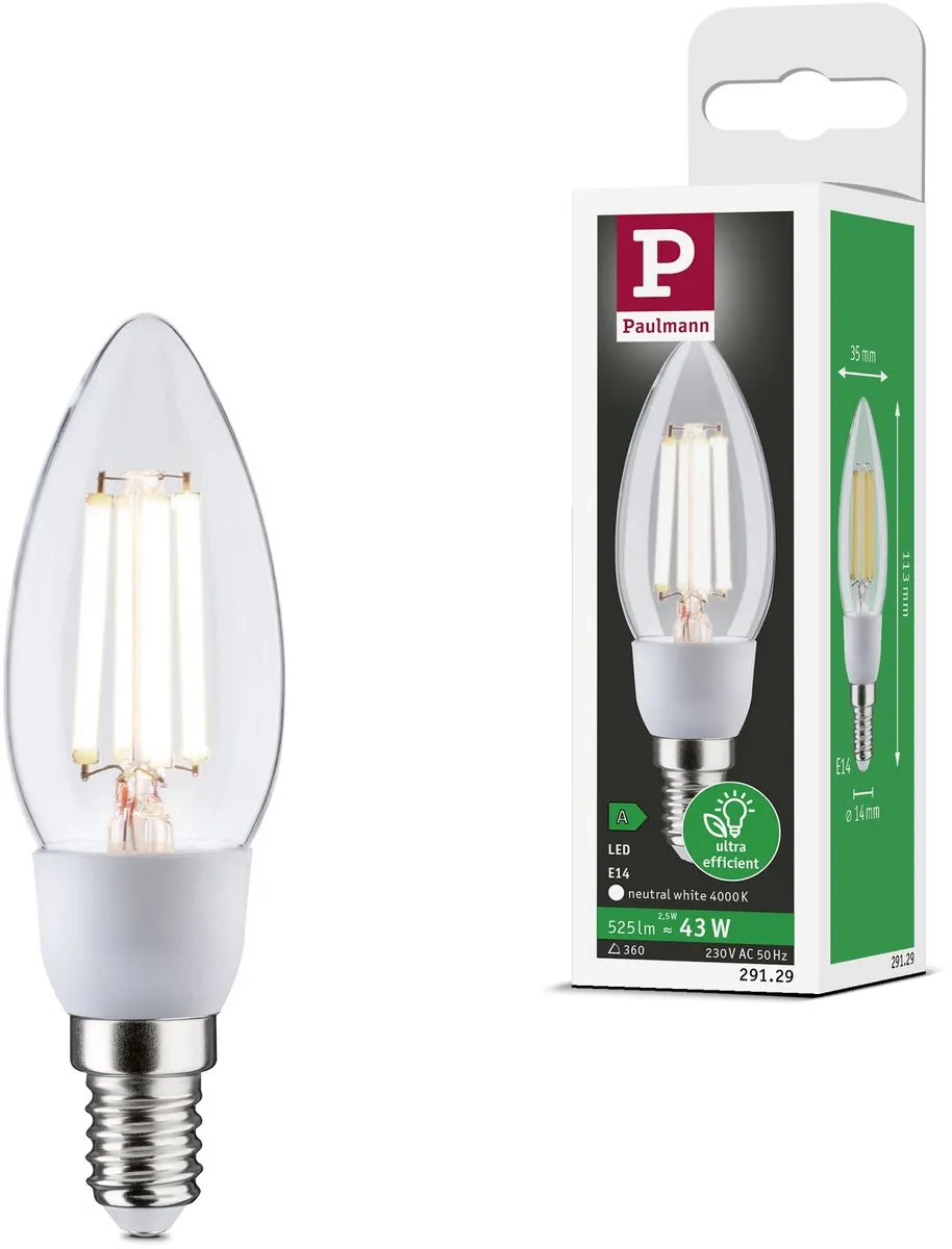 Paulmann Eco-Line LED Kaars E14 2,5W 525lm - Helder