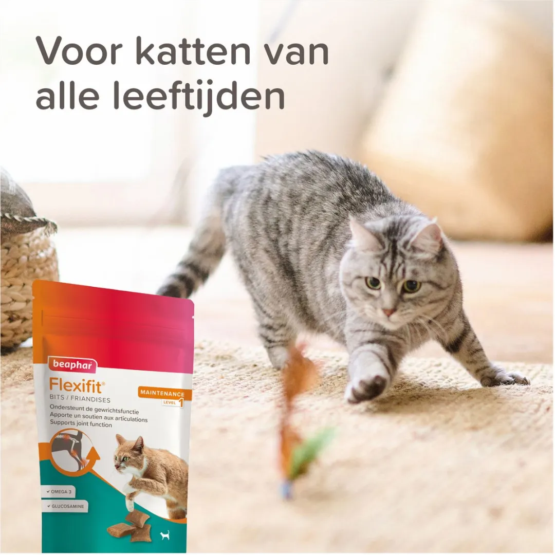 Beaphar Flexifit Bits Kat - 150g