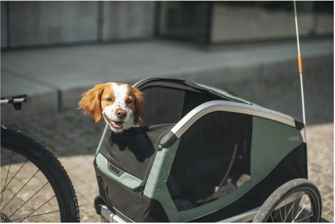 Thule Fietskar Bexey Hondenfietskar 79x70x90cm - Groen/Zwart/Aluminium