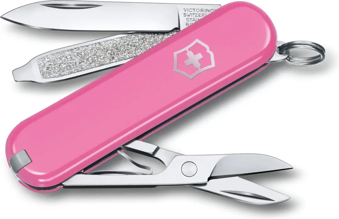 Victorinox Classic SD 0.6223.51G Zakmes