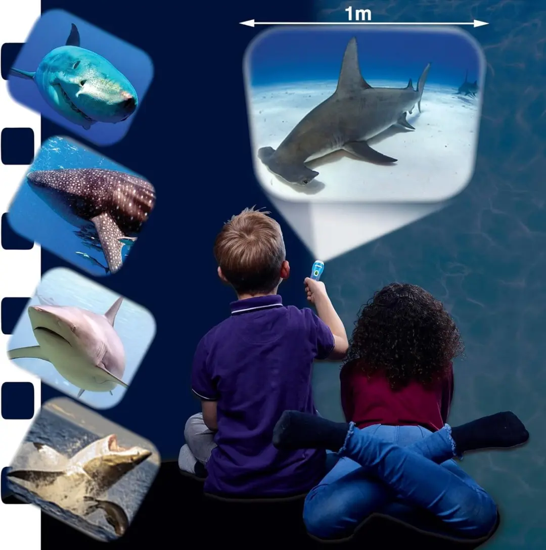 Brainstorm Toys Shark Torch & Projector - Haaien - afbeelding 3 van 4