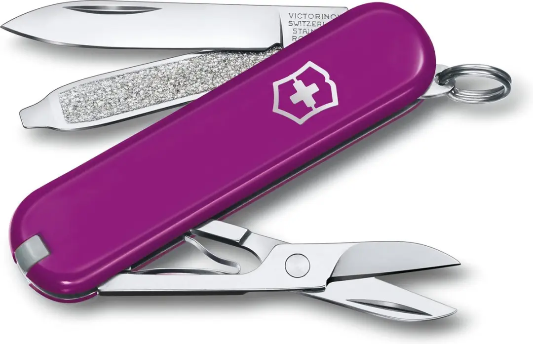 Victorinox Classic SD Colors Tasty Grape 0.6223.52G Zakmes