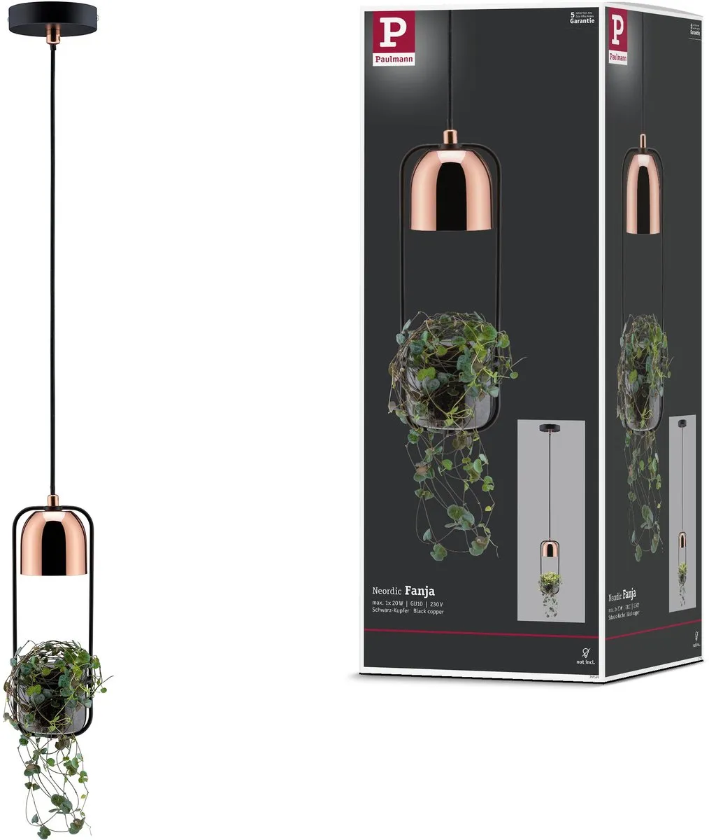 Paulmann Neordic Hanglamp Fanja GU10