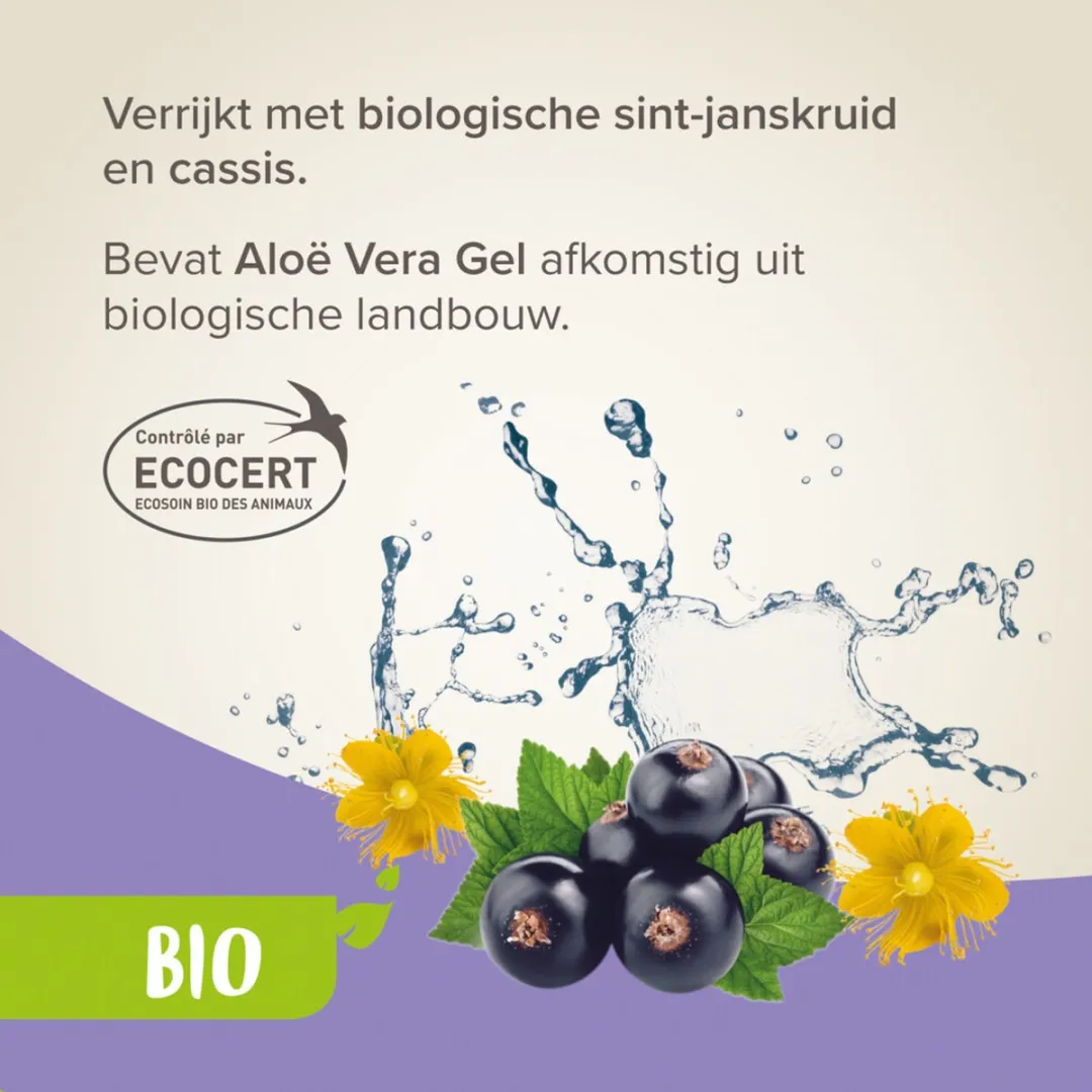 Beaphar Bio Shampoo bij Jeuk Hond 200ml
