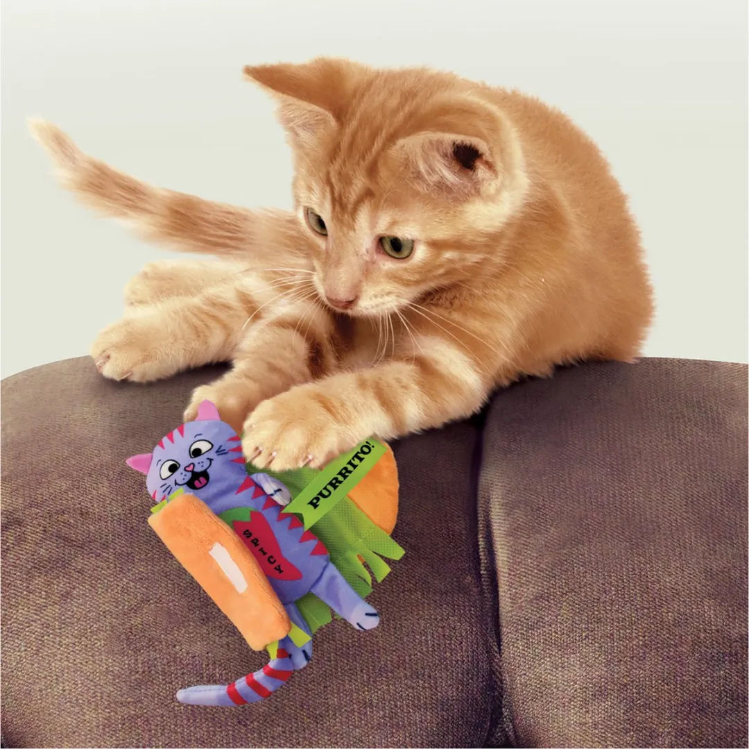 KONG Pull-A-Partz Purrito - Blauw