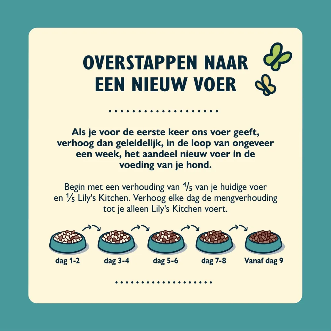 Lily's Kitchen Salmon Supper Hondenvoer Droogvoer - 4x1kg - afbeelding 6 van 6