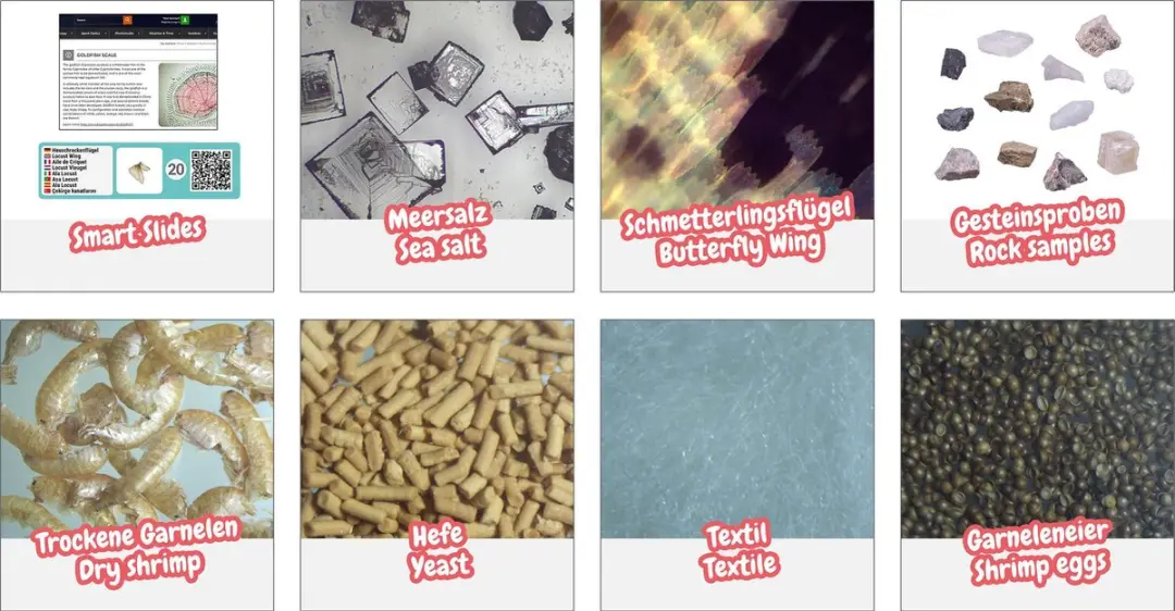 Bresser Junior Experimenteerset voor Microscopen - Starterskit - afbeelding 3 van 6