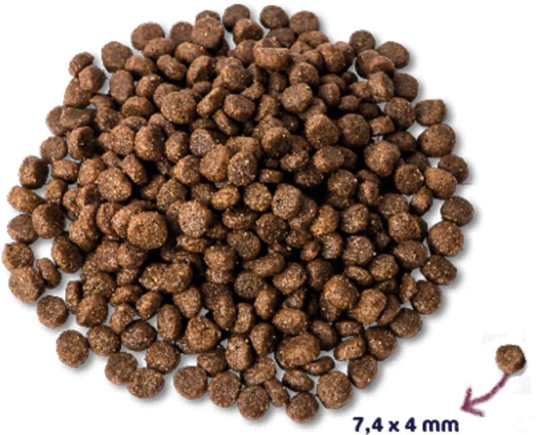 Renske Super Premium Puppy Kip & Lam 12kg