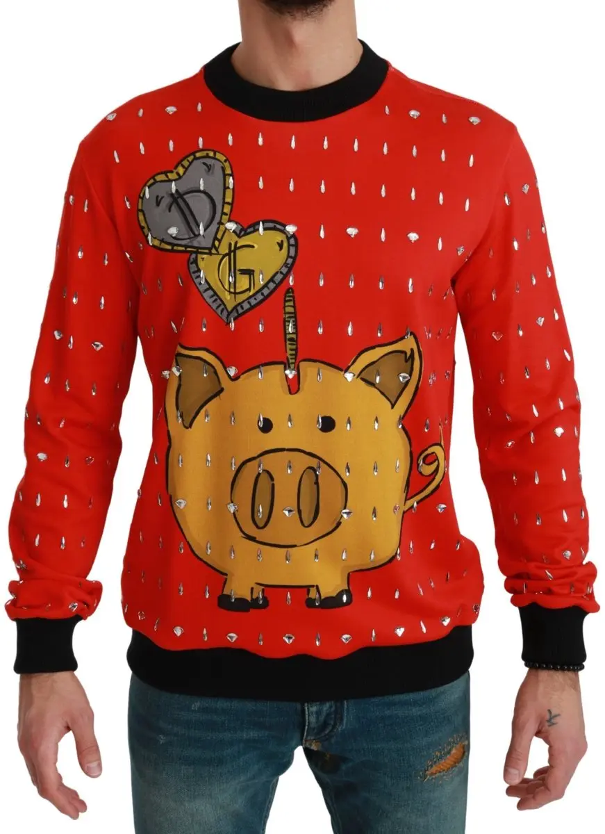 Piggy Bank Crystal Sweater