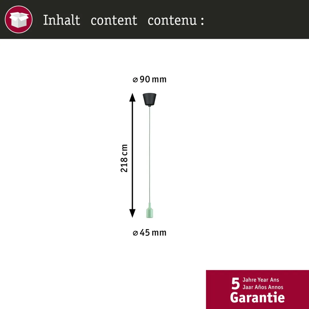 Paulmann Neordic Hanglamp Ketil E27 60W - Lichtgroen/Zwart
