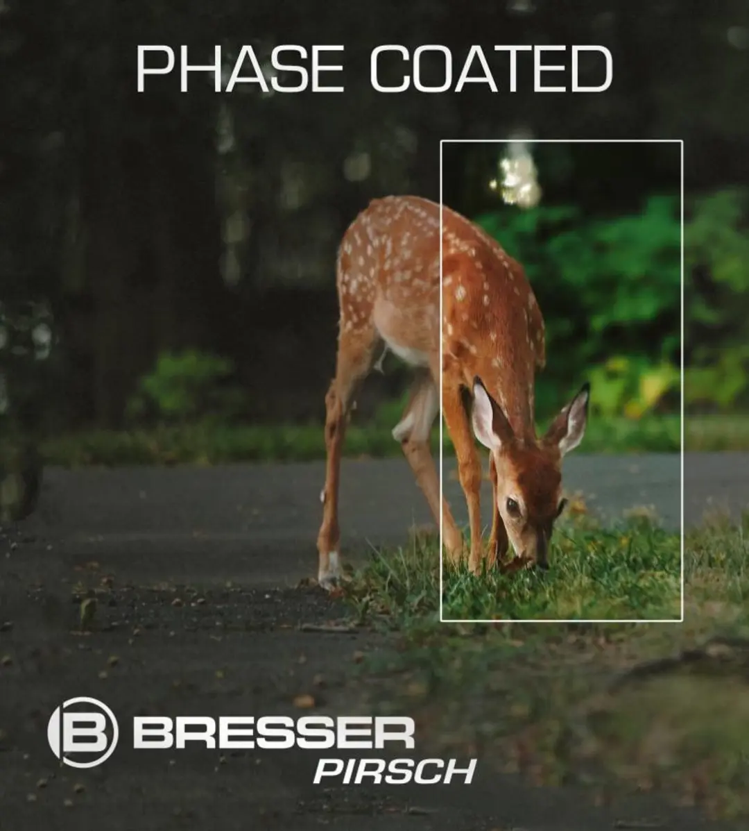 Bresser Pirsch 10x42 Verrekijker - Groen - afbeelding 4 van 6