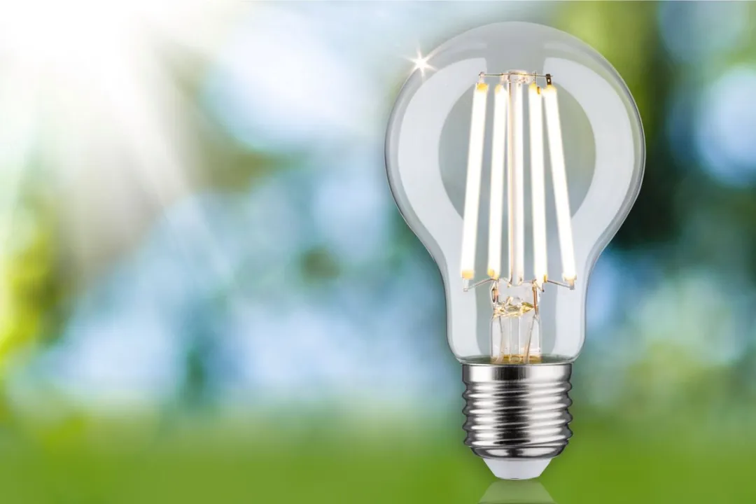 Paulmann Eco-Line LED-gloeilamp E27 4,5W 840lm 3000K - Helder