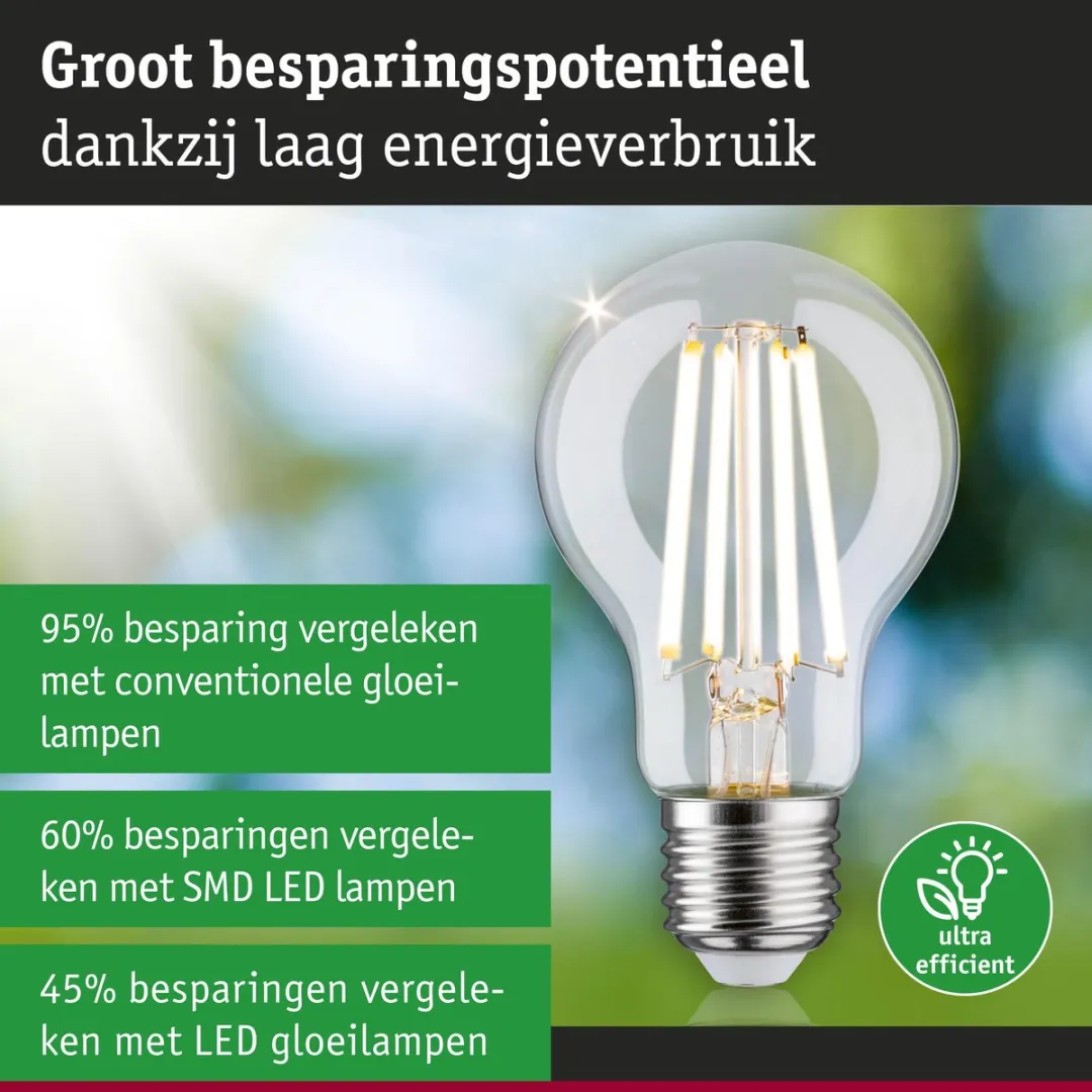 Paulmann Eco-Line LED-gloeilamp E27 4,5W 840lm 3000K - Helder - afbeelding 6 van 6