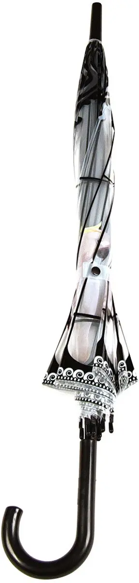 Esschert Design Paraplu Vogelkooi - Transparant - afbeelding 3 van 6