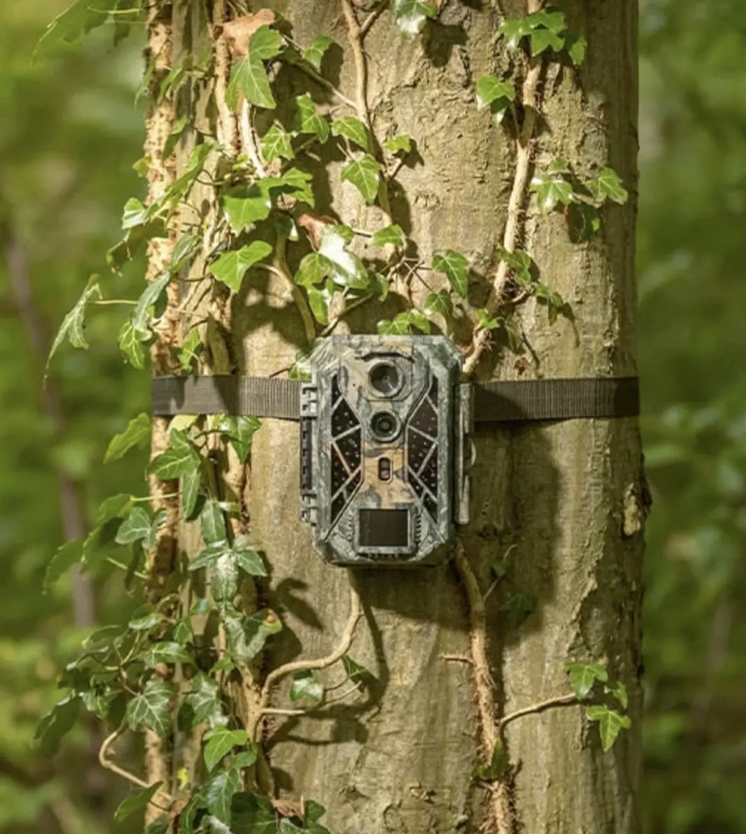 Camouflage EZ2 Elite Dual Lens Wildcamera - afbeelding 4 van 6