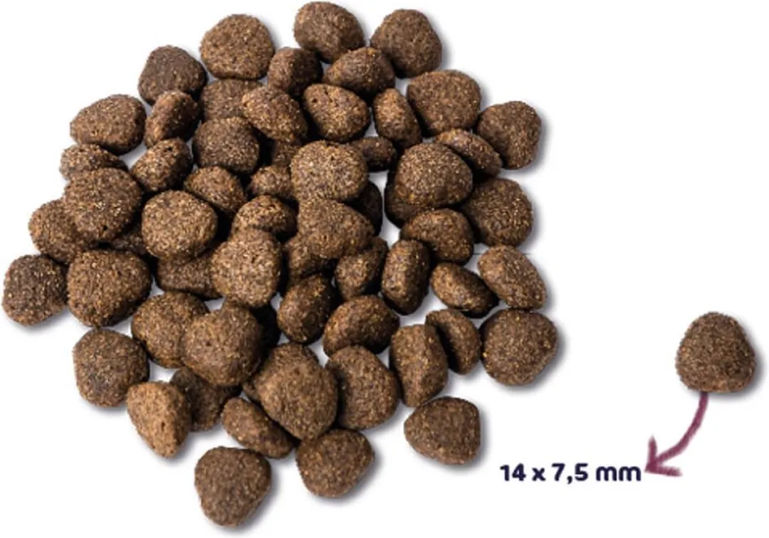 Renske Adult Zalm Hondenvoer - 4x2kg Graanvrij